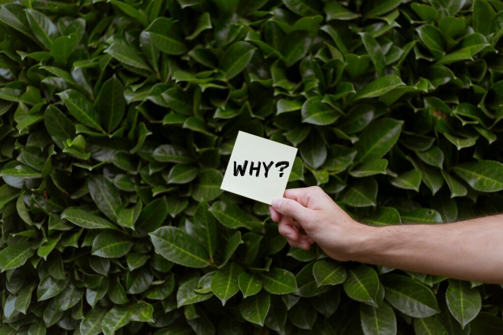 A hand holding a Post-It note in front of a hedge. The note reads "WHY?"